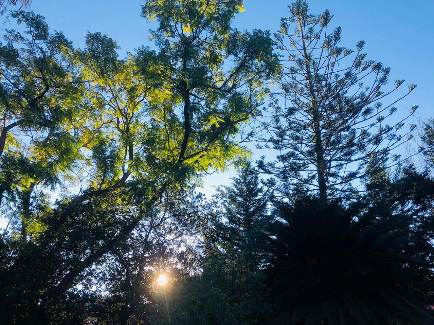 Garden Suites Corfu  Bagian luar foto
