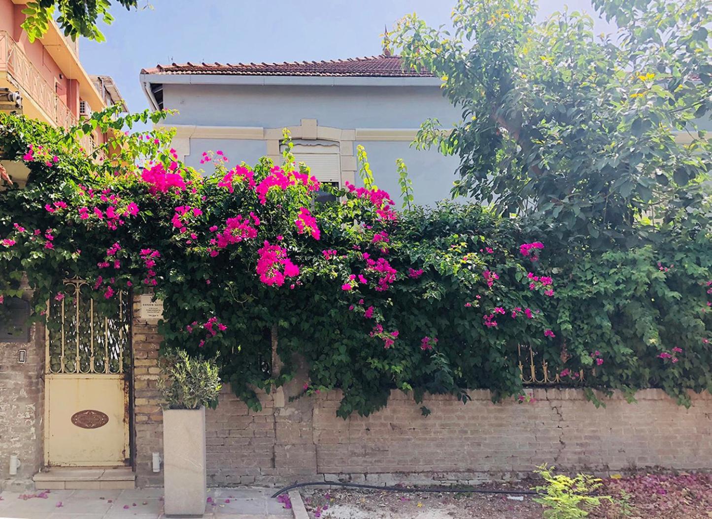 Garden Suites Corfu  Bagian luar foto